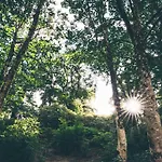 Feriepark The Forest At Mount Congreve Gardens Kilmeaden