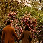 The Forest At Mount Congreve Gardens Feriepark