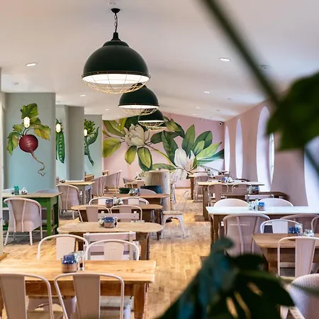 The Forest At Mount Congreve Gardens