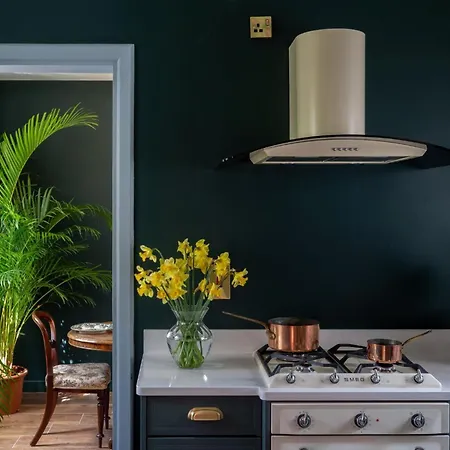 The Forest At Mount Congreve Gardens *