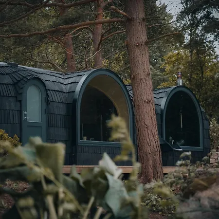 The Forest At Mount Congreve Gardens *