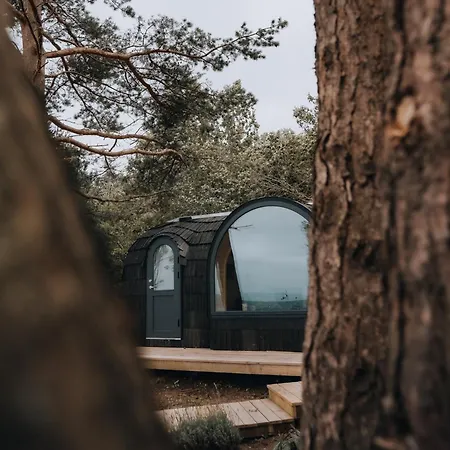 The Forest At Mount Congreve Gardens Kilmeaden
