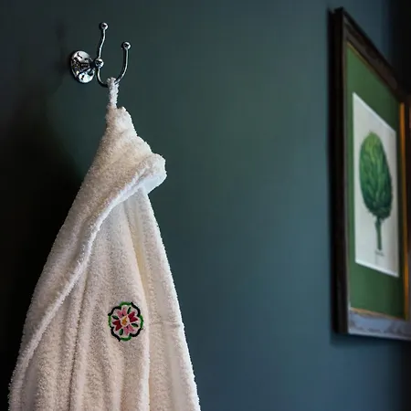 The Forest At Mount Congreve Gardens