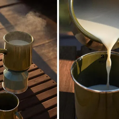 The Forest At Mount Congreve Gardens *