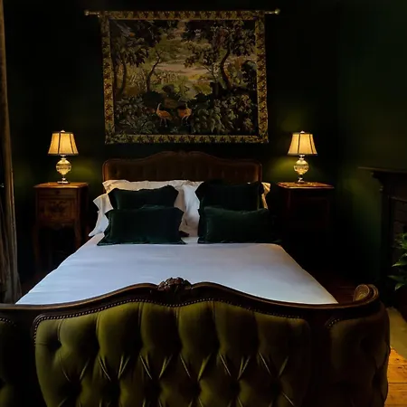 The Forest At Mount Congreve Gardens * Kilmeaden