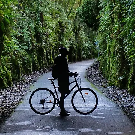Ferienpark The Forest At Mount Congreve Gardens