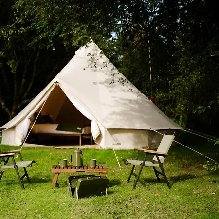 The Forest At Mount Congreve Gardens Holiday park Kilmeaden