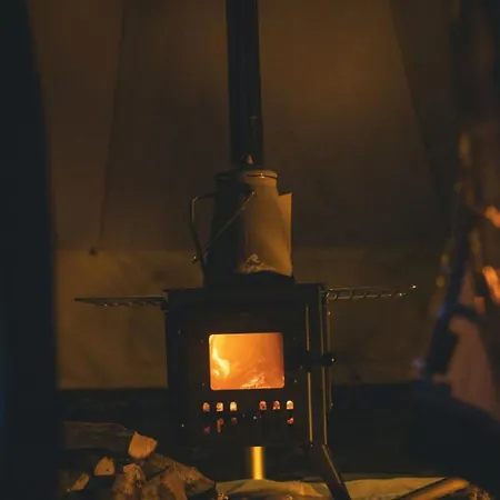 The Forest At Mount Congreve Gardens *