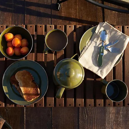 The Forest At Mount Congreve Gardens Kilmeaden