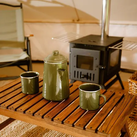 The Forest At Mount Congreve Gardens