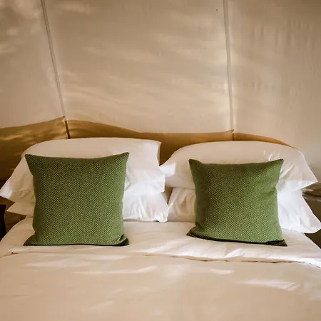 The Forest At Mount Congreve Gardens Ferienpark *