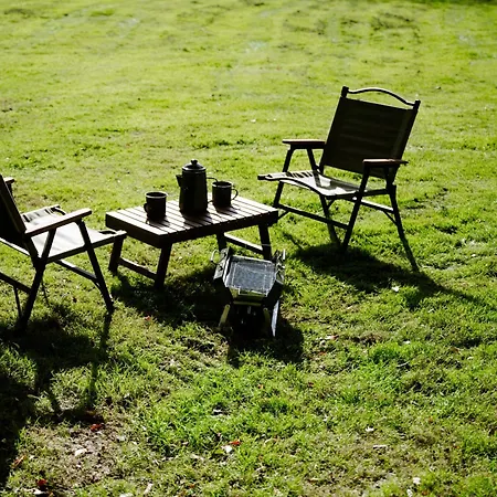 The Forest At Mount Congreve Gardens