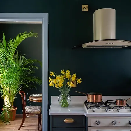 The Forest At Mount Congreve Gardens *