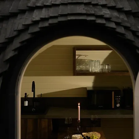 The Forest At Mount Congreve Gardens * Kilmeaden