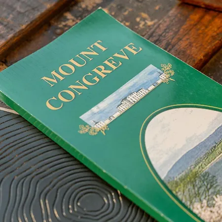 The Forest At Mount Congreve Gardens Ferienpark