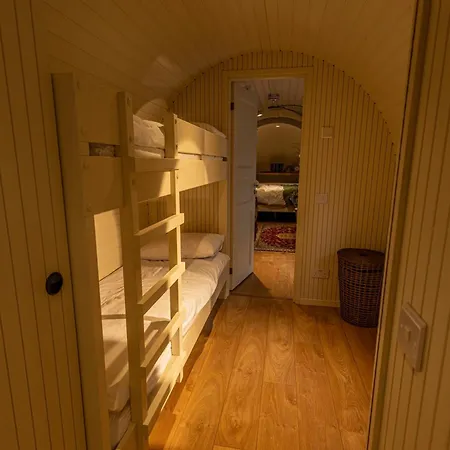 The Forest At Mount Congreve Gardens Ferienpark