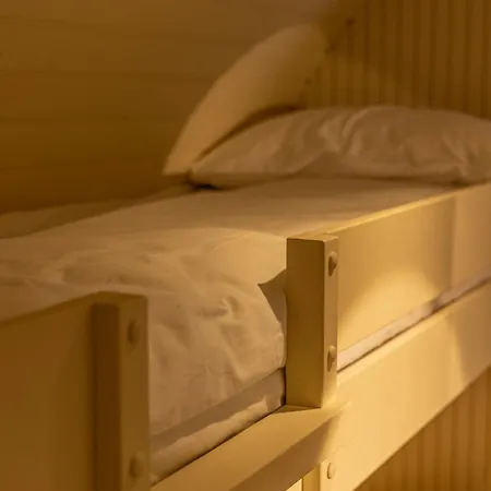 The Forest At Mount Congreve Gardens Kilmeaden