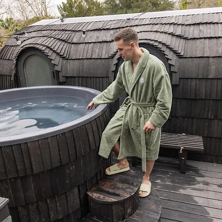 The Forest At Mount Congreve Gardens Kilmeaden