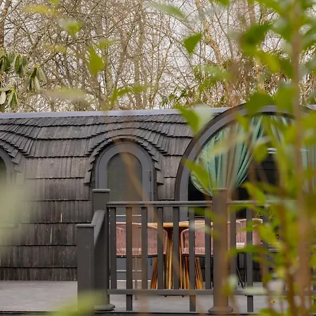 The Forest At Mount Congreve Gardens Kilmeaden