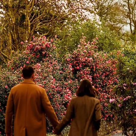 The Forest At Mount Congreve Gardens Ferienpark