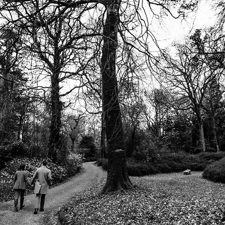 The Forest At Mount Congreve Gardens