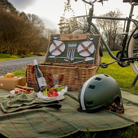 The Forest At Mount Congreve Gardens منتزه العطل