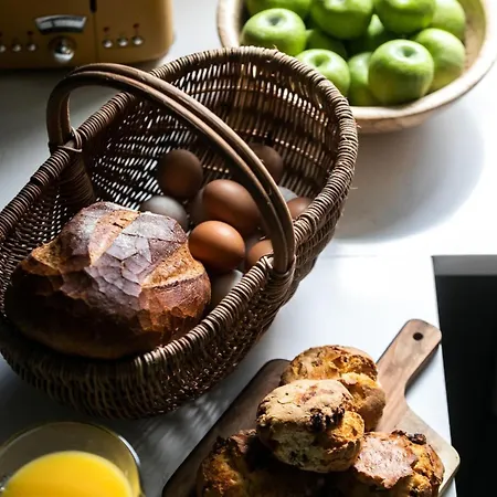 The Forest At Mount Congreve Gardens Ferienpark Kilmeaden