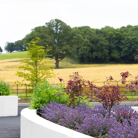 منتزه العطل The Forest At Mount Congreve Gardens