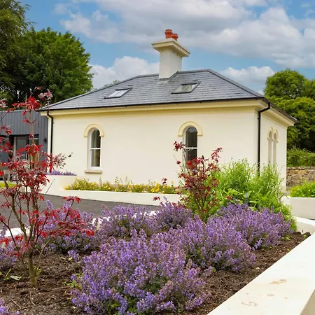 The Forest At Mount Congreve Gardens * Kilmeaden