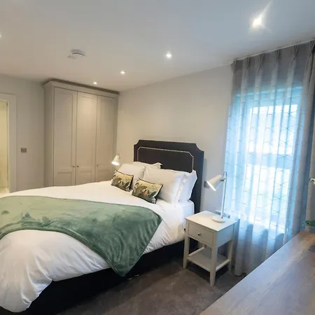 The Forest At Mount Congreve Gardens Ferienpark