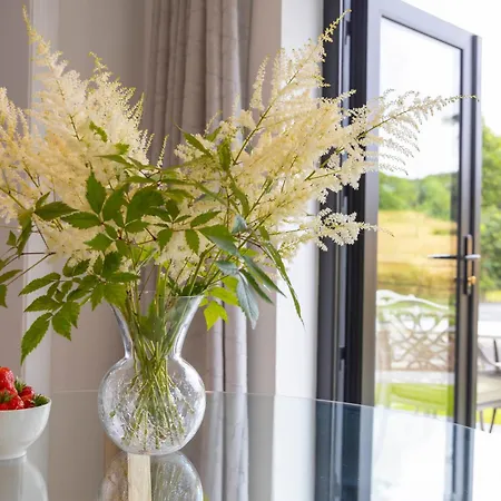 The Forest At Mount Congreve Gardens