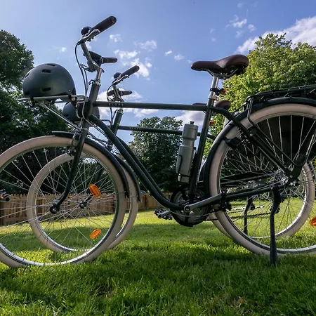 The Forest At Mount Congreve Gardens منتزه العطل Kilmeaden
