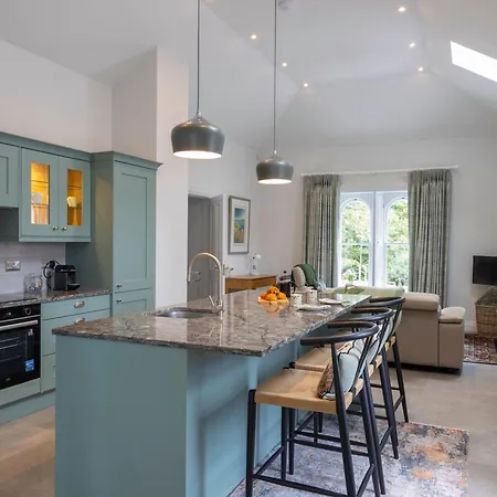 The Forest At Mount Congreve Gardens Kilmeaden