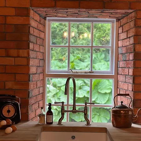 The Forest At Mount Congreve Gardens * Kilmeaden