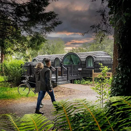 ホリデーパーク The Forest At Mount Congreve Gardens *