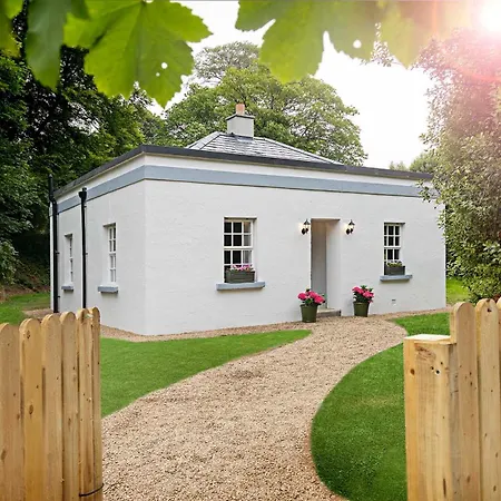 The Forest At Mount Congreve Gardens * Kilmeaden