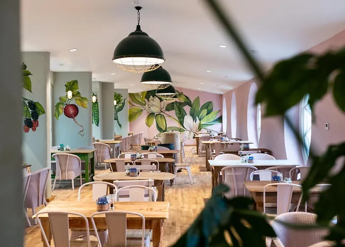 The Forest At Mount Congreve Gardens