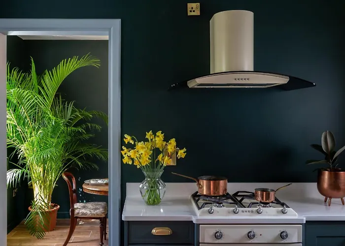 The Forest At Mount Congreve Gardens *