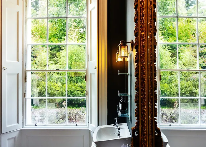 The Forest At Mount Congreve Gardens