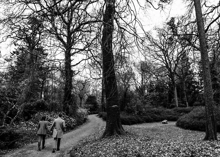База отдыха The Forest At Mount Congreve Gardens