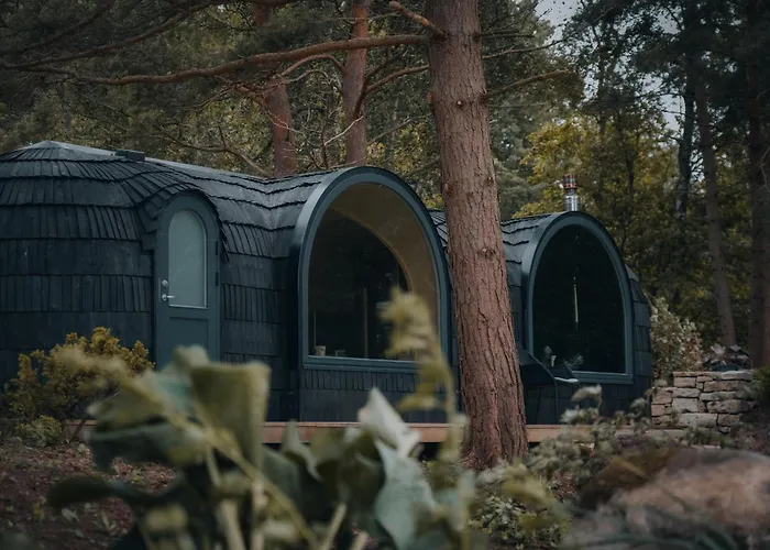 The Forest At Mount Congreve Gardens *