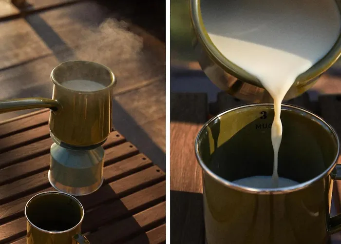 The Forest At Mount Congreve Gardens *