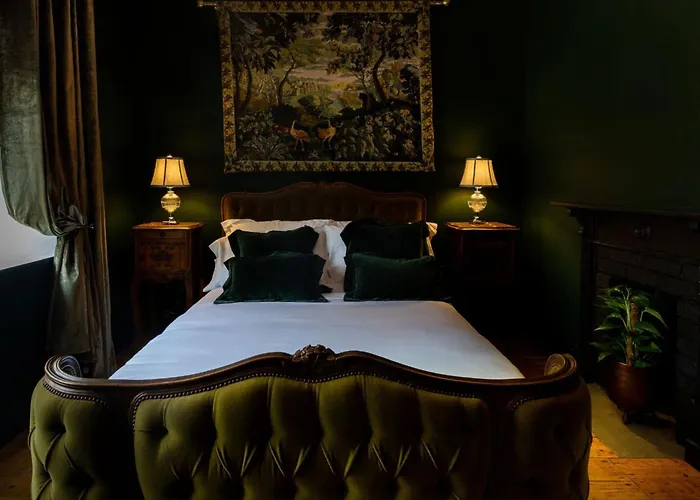 The Forest At Mount Congreve Gardens * Kilmeaden