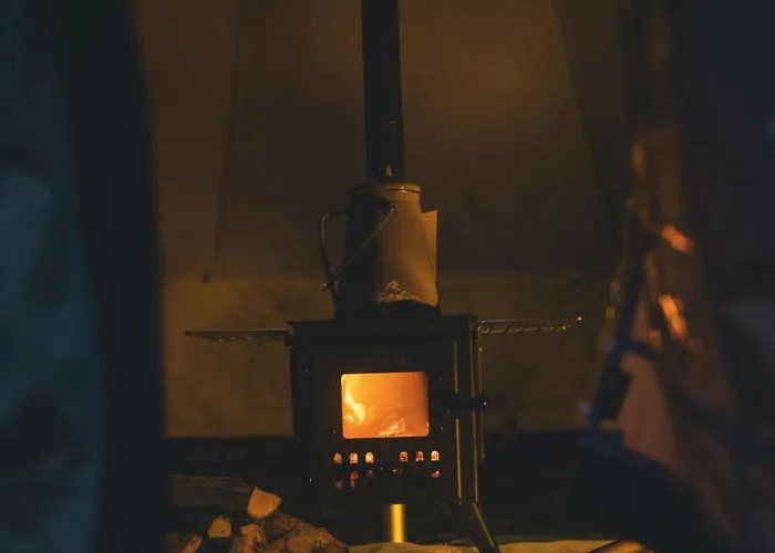 The Forest At Mount Congreve Gardens *