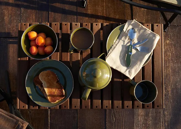 The Forest At Mount Congreve Gardens Kilmeaden