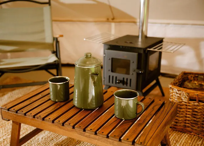 The Forest At Mount Congreve Gardens