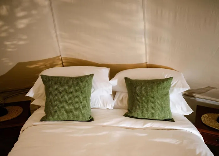 The Forest At Mount Congreve Gardens Feriepark *