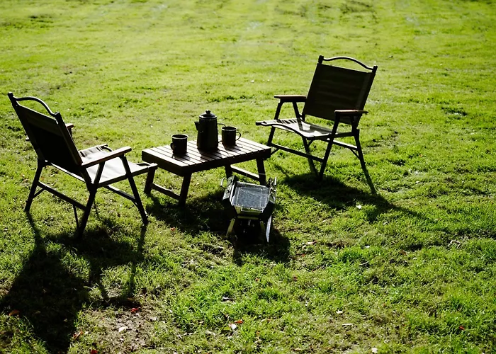 The Forest At Mount Congreve Gardens