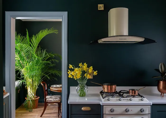 The Forest At Mount Congreve Gardens *