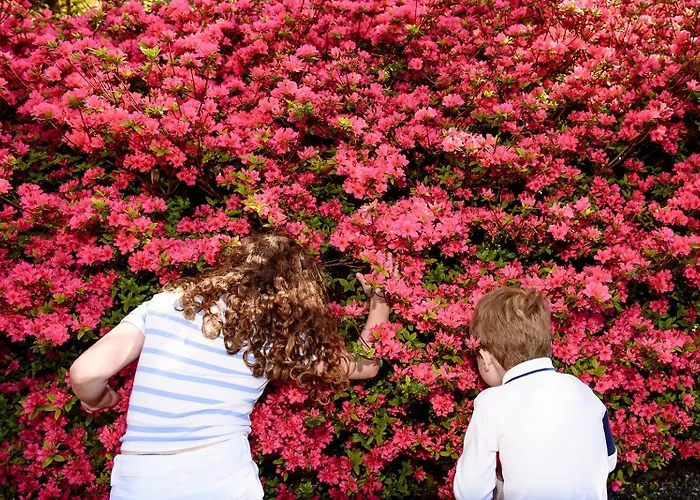 The Forest At Mount Congreve Gardens База отдыха Kilmeaden